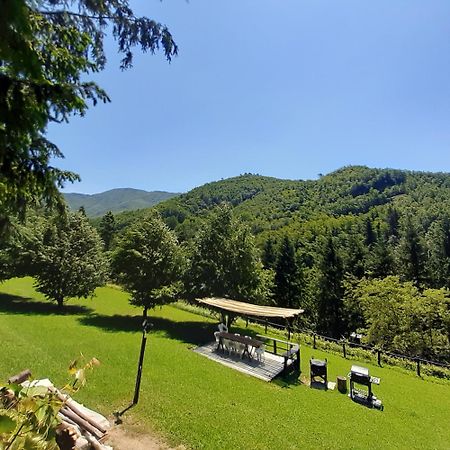 Il Bosco Di Campo Marzano Rooms & Apartments Borzonasca Eksteriør bilde
