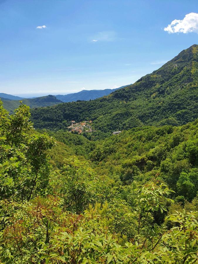 Il Bosco Di Campo Marzano Rooms & Apartments Borzonasca Eksteriør bilde
