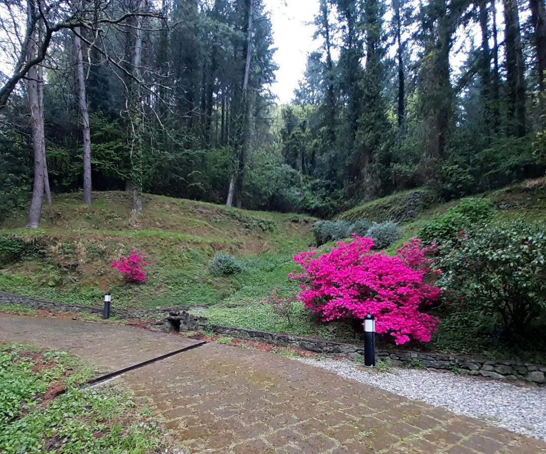Il Bosco Di Campo Marzano Rooms & Apartments Borzonasca Eksteriør bilde