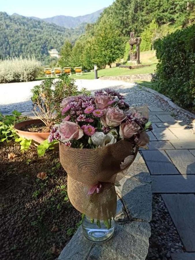 Il Bosco Di Campo Marzano Rooms & Apartments Borzonasca Eksteriør bilde