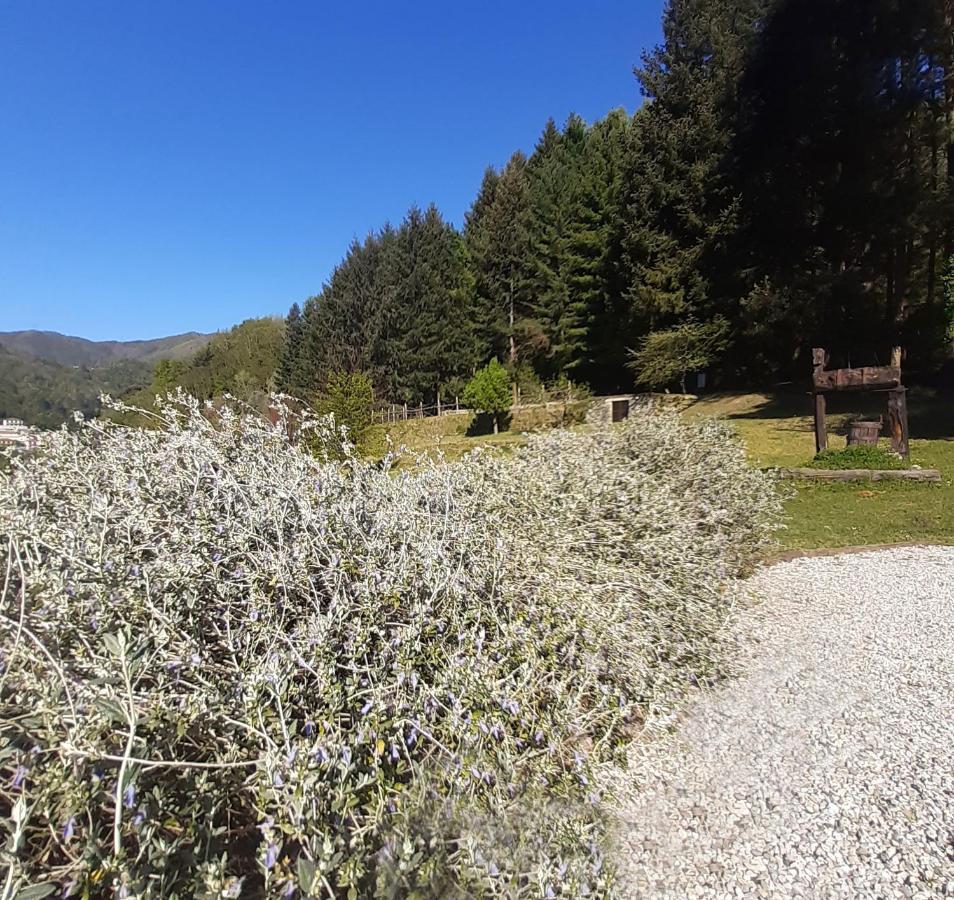 Il Bosco Di Campo Marzano Rooms & Apartments Borzonasca Eksteriør bilde