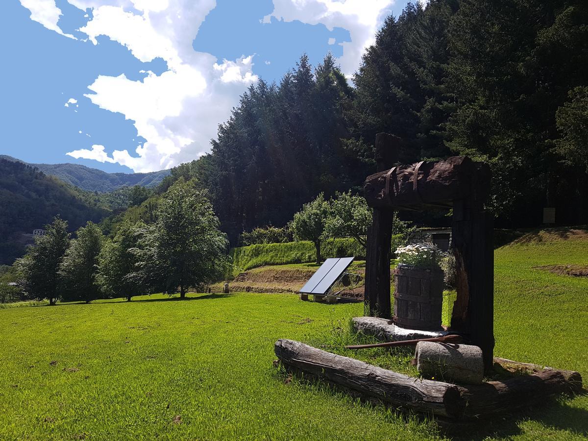 Il Bosco Di Campo Marzano Rooms & Apartments Borzonasca Eksteriør bilde