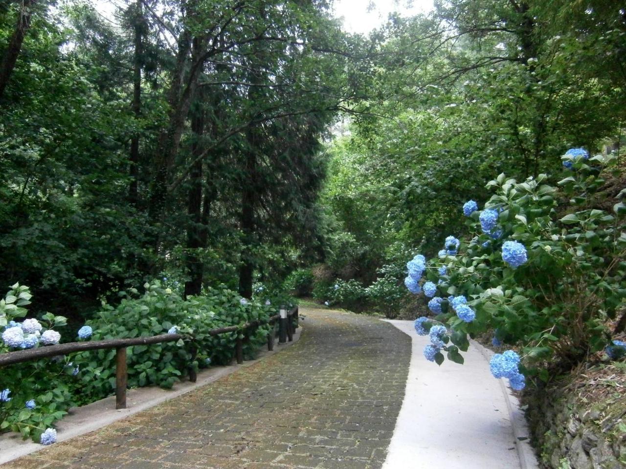 Il Bosco Di Campo Marzano Rooms & Apartments Borzonasca Eksteriør bilde
