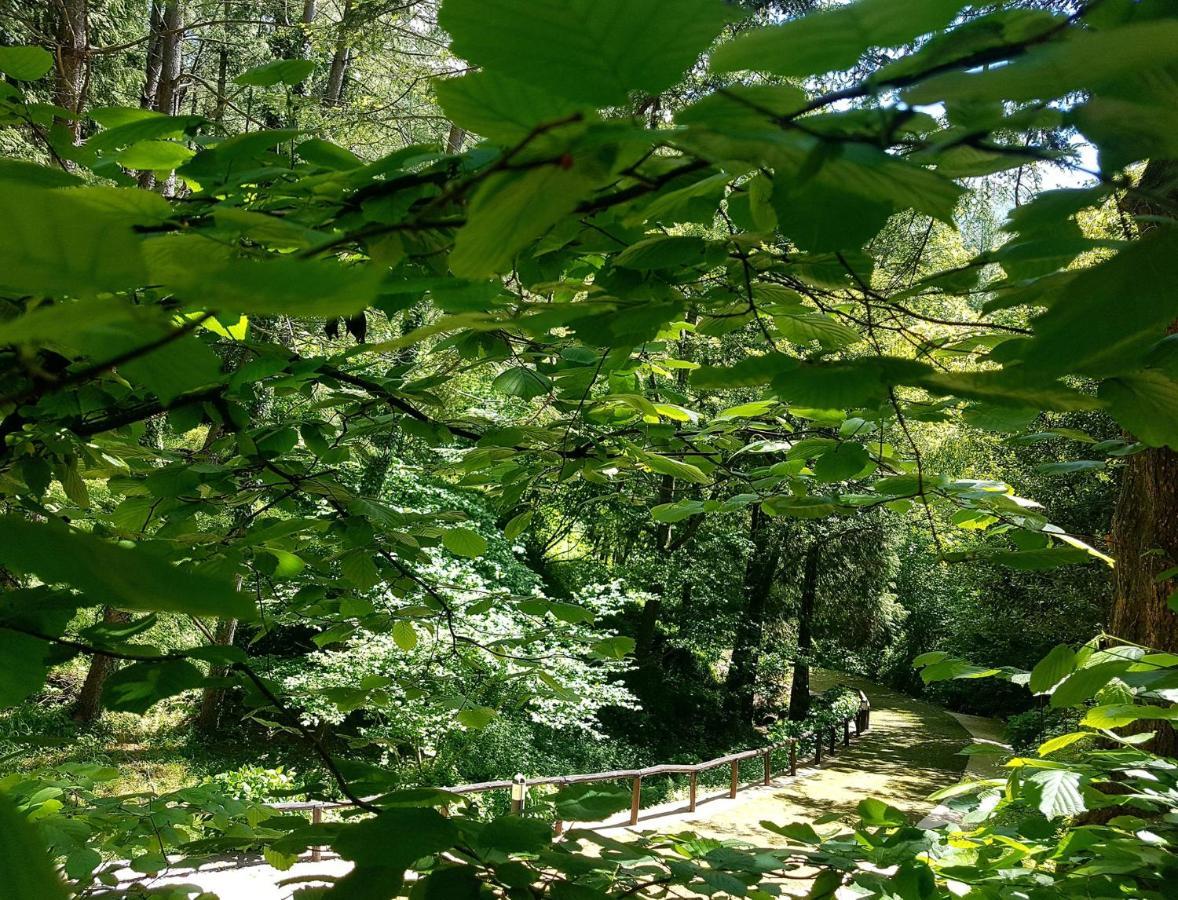 Il Bosco Di Campo Marzano Rooms & Apartments Borzonasca Eksteriør bilde