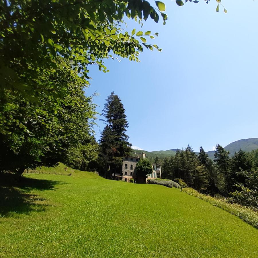 Il Bosco Di Campo Marzano Rooms & Apartments Borzonasca Eksteriør bilde