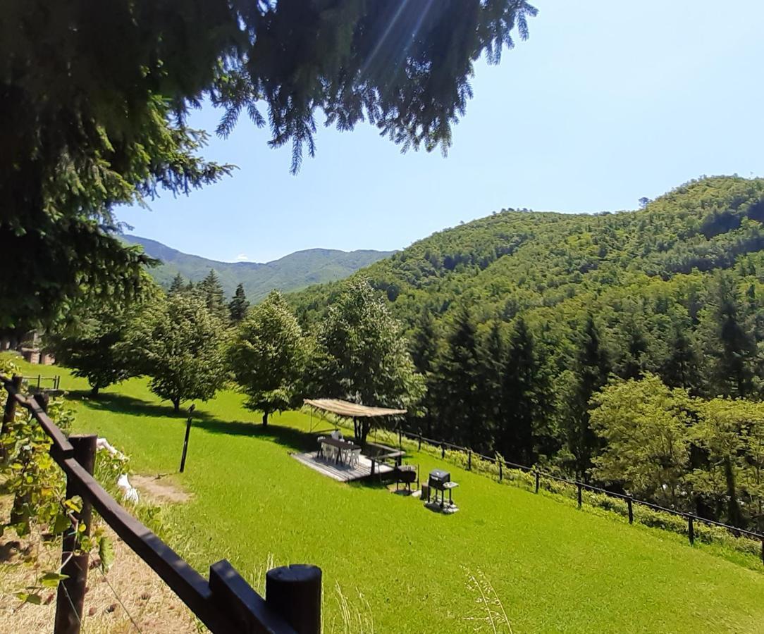 Il Bosco Di Campo Marzano Rooms & Apartments Borzonasca Eksteriør bilde